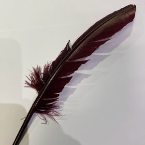 Feather Quill