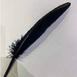 Feather Quill