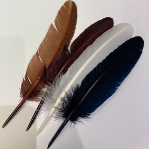 Feather Quill