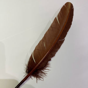 Feather Quill